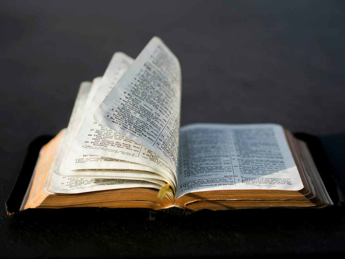 Pages of an open Bible catching the light